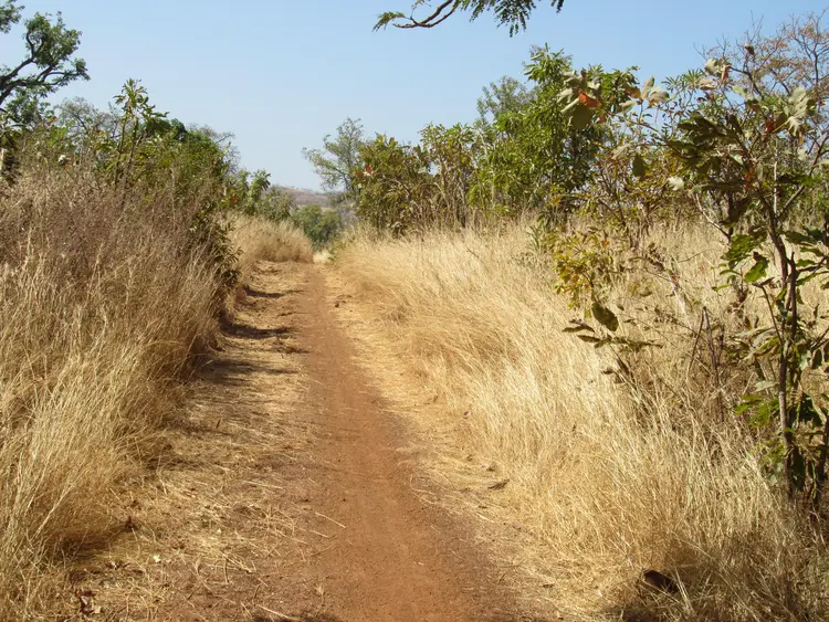 Banlu nin Galasi te silo