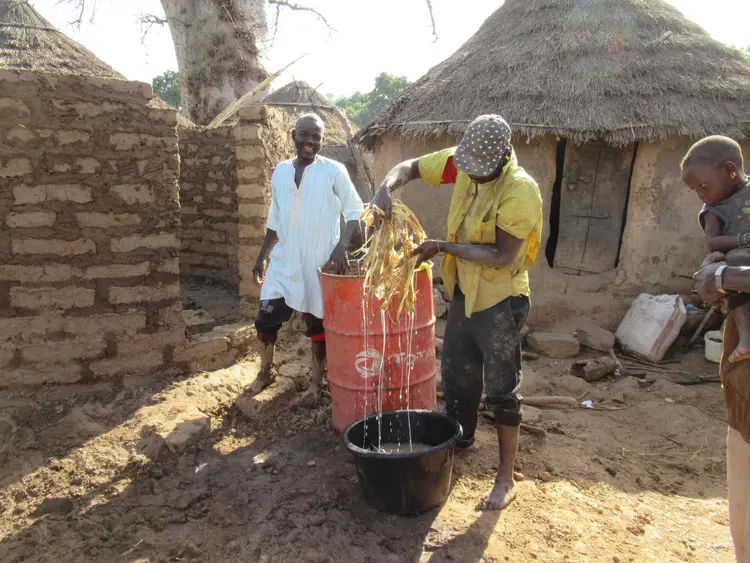 Xa gunbanŋo ke banxo la