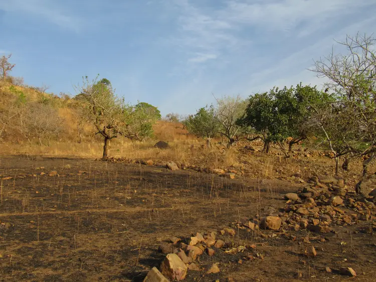 Daramajuwo nin Benbejuwo